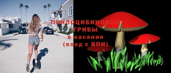 MDMA Горнозаводск